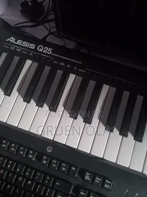 Alesis Q25 Midi Keyboard