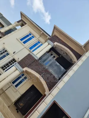 Professional Painter in Ibadan