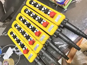 Crane Pendant Switch
