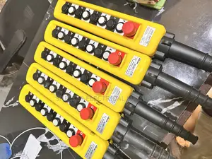 Crane Pendant Switch