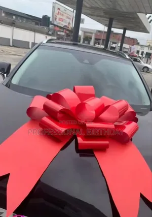 Easter Promo Free Ribbon + Car Bow, Auto Decorations Lagos Nigeria