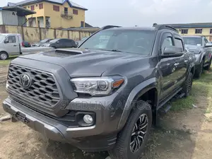 Toyota Tacoma Limited 2021 Gray