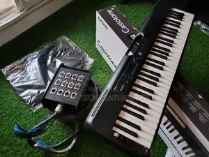 Casio Casetone Ct-S300 Keyboard