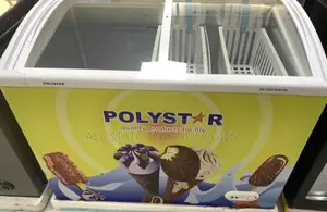Polystar Commercial Double Door Showcase Chiller 303csl