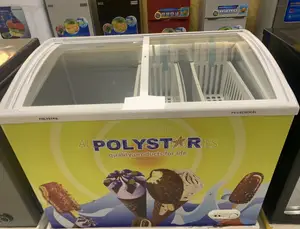 Polystar 303csl Double Door Free-Standing Chiller