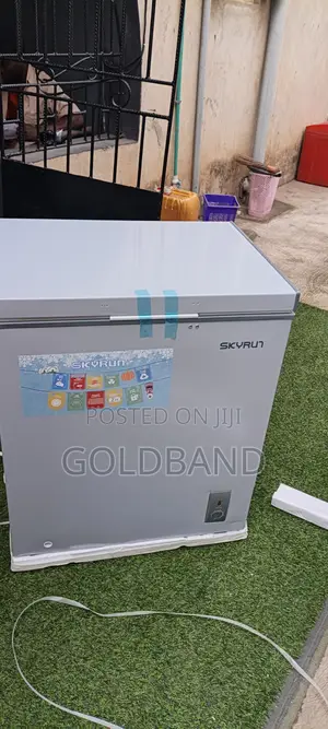 Skyrun 145l Deep Freezer for Home Shop