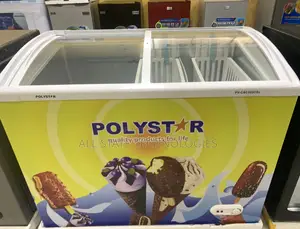 Polystar Double Door Upright Cooler – Pv-Csc303csl