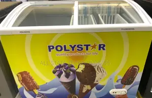 Polystar Showcase Chiller 303csl Double Door Model