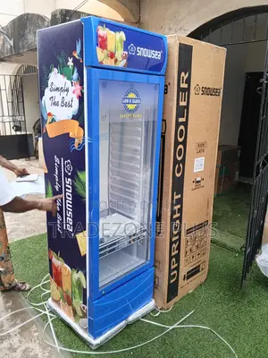 Snowsea 400l Upright Commercial Display Cooler