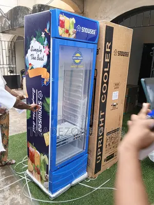 Snowsea 400l Single-Door Upright Beverage Chiller