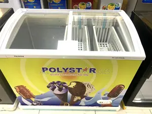 Polystar Double Door Shop Display Chiller – 303csl