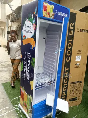 Snowsea 400l Standing Retail Cooler for Drinks and Food