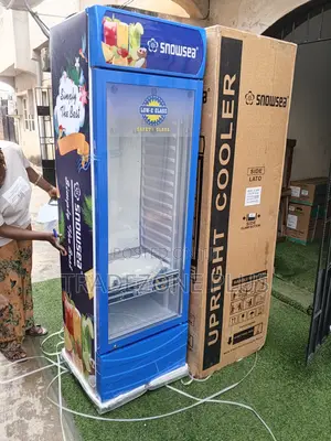 Snowsea 400l Upright Merchandising Cooler With Light