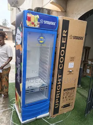 Snowsea 400l Retail Upright Refrigerator for Display