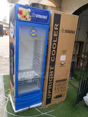 Snowsea 400l Bottle Display Cooler for Shop Use