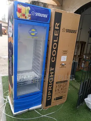 Snowsea 400l Upright Beverage Refrigerator for Retail