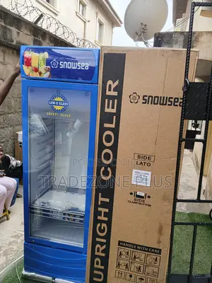 Snowsea 400l Vertical Fridge for Store Displays