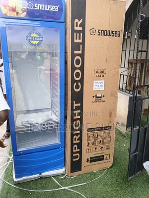 Snowsea 400l Vertical Drink Showcase With Glass Panel