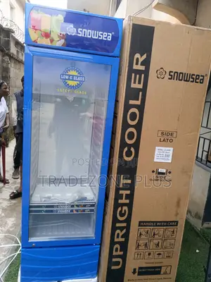 Snowsea 400l Standing Beverage Fridge for Retail Shops