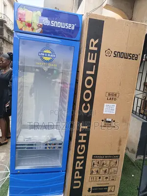 Snowsea 400l Glass-Door Fridge for Product Display