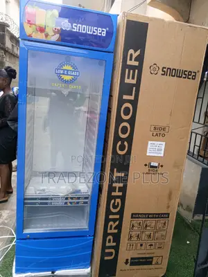 Snowsea 400l Upright Chiller for Market and Grocery Use