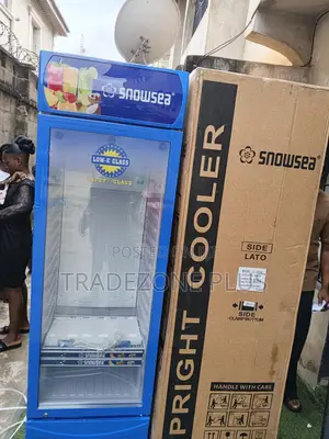 Snowsea 400l Commercial Drink Cooler With Standing Design