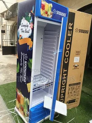Snowsea 400l Retail Beverage Cooler With Vertical Layout