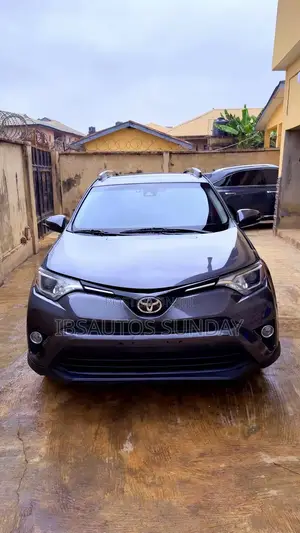 Toyota RAV4 XLE 4dr SUV AWD (2.5L 4cyl 6A) 2018 Gray