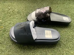 Carton Slides