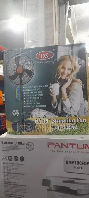 Ox 18" Standing Fan Hexa