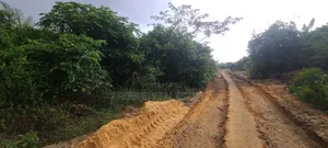 Prime Land Alert!