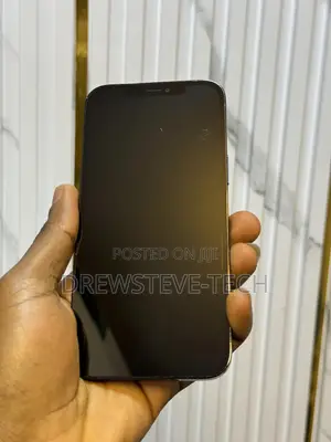 Apple iPhone 12 Pro Max 256 GB Blue