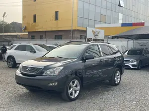 Lexus RX 350 2007 Gray
