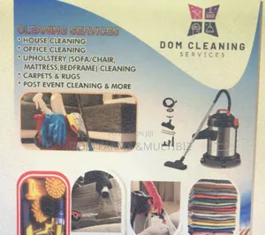 Upholstery and House Cleaning