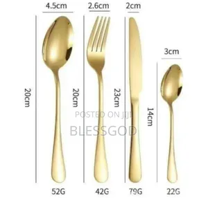 24pic Golden Spoon
