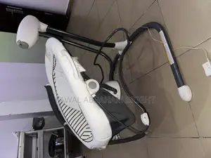Graco Swing