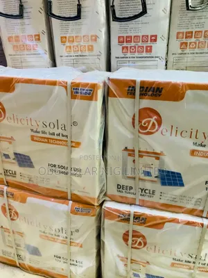 Pelicity Deep Cycle Tall Tubular Battery