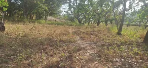Kyami Commercial Unspecified Plot in a Strategic Area for Sale