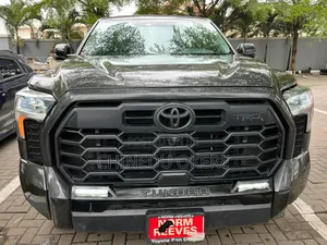 Toyota Tundra Limited CrewMax 5.5' Bed 2024 Gray