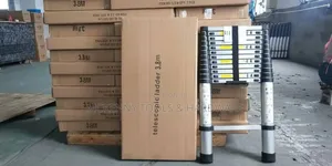 3.8-meter (12.5 Ft) Telescopic Extension Ladder