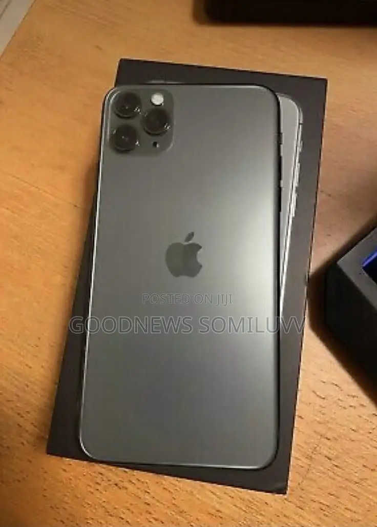 Apple iPhone 11 Pro Max 256 GB Gray