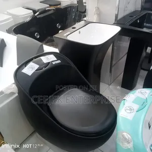 Matt Black Water Closet With Standing Basin