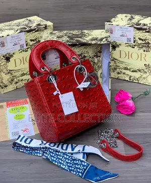 Luxury Ostrish Leather Christian Dior Bag in Displayed Color