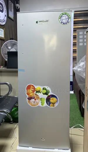 Tasha Energy Ice Block Making Fridge