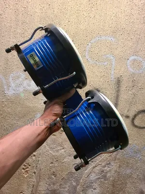 Bongo Big One