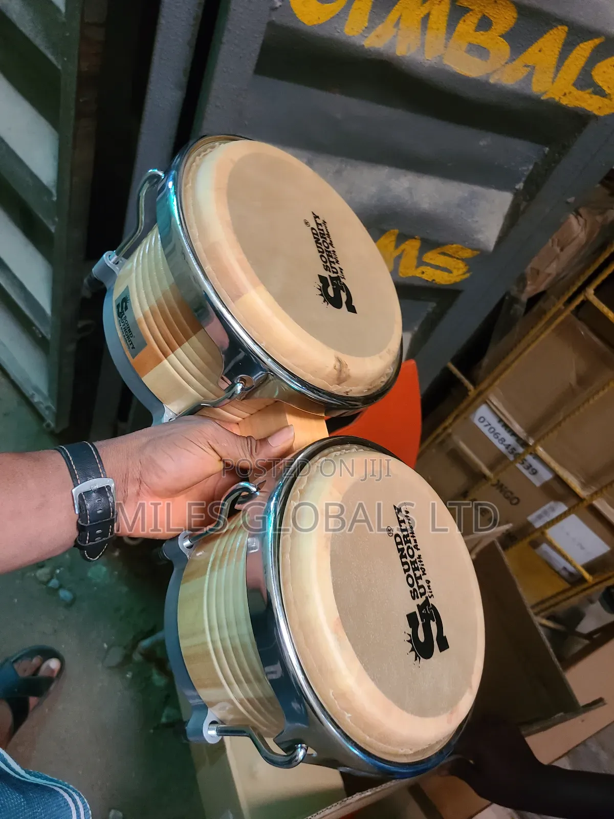 Bongo Big One