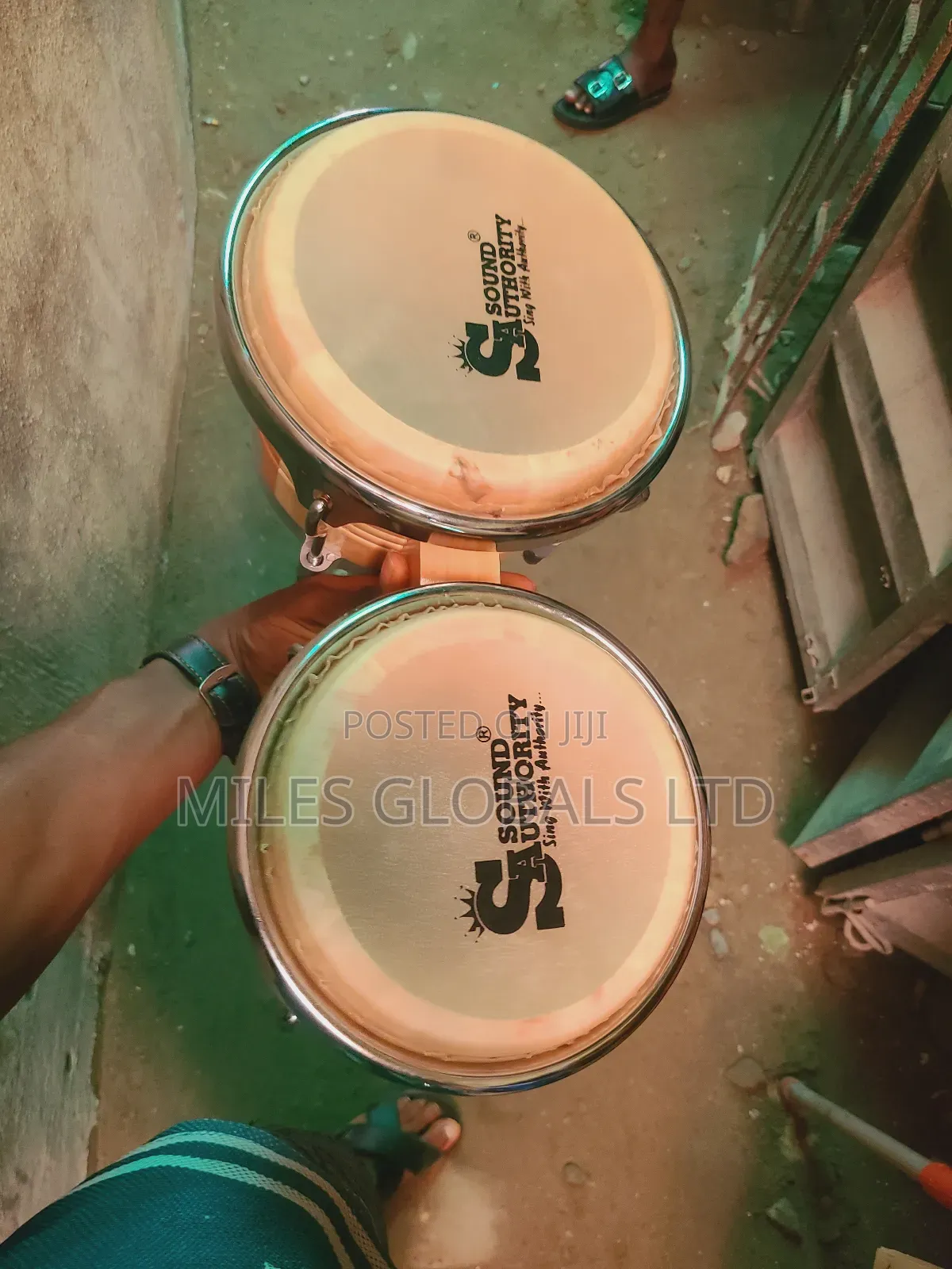 Bongo Big One