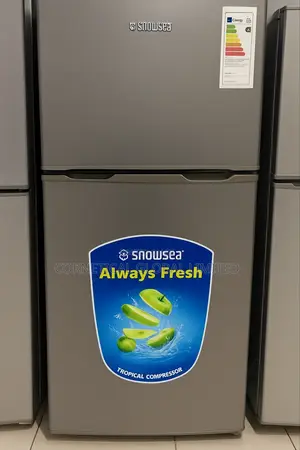 Snowsea 298 Litres Refrigerator-Freezer Two Doors BCD-298g
