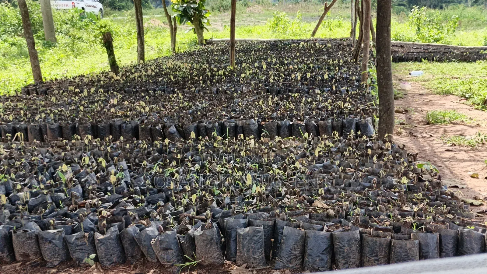 Nursery/Planting Bags, Agro Inputs.