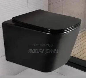 Black Concealed Toilet
